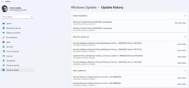Windows11 Insider Preview Build 25126允许用户从“设置”应用访问永久的Microsoft Office产品-图示2