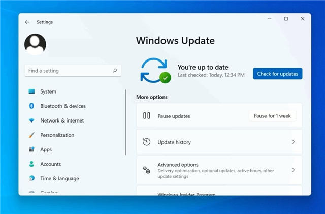 如何下载 Windows 11 Insider Preview Build 22504-图示1