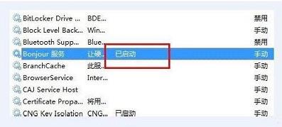 win10系统bonjour服务不可用是什么意思-图示7